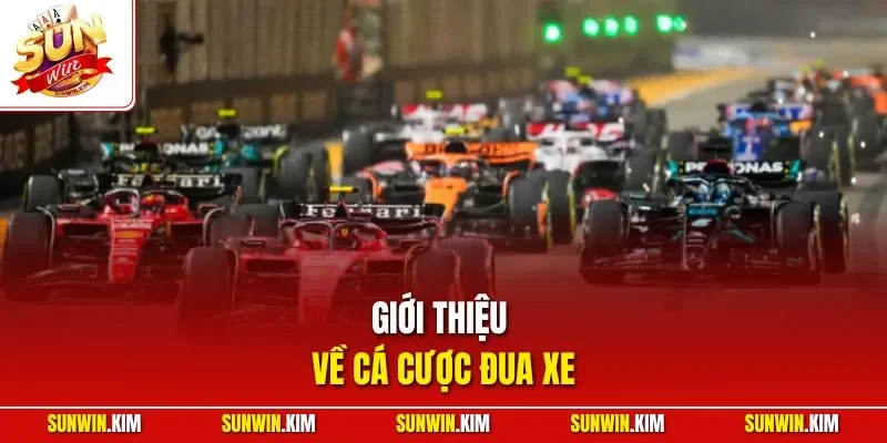 Giới thiệu về cá cược đua xe